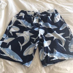 Vilebrequin Swim Trunks